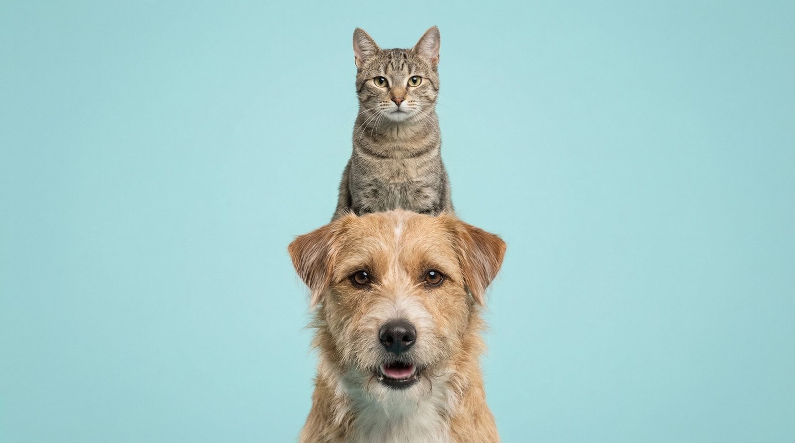 Professional man in office